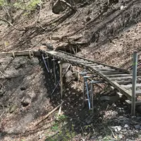 御岳山の写真・動画_image_140275