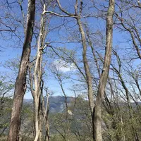 御岳山の写真・動画_image_140276