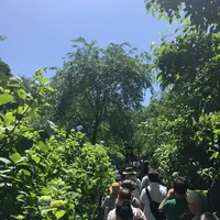 明月院（あじさい寺）の写真・動画_image_140431