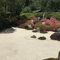 明月院（あじさい寺）の写真・動画_image_140433