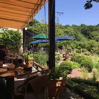 石窯ガーデンテラスの写真・動画_image_140435