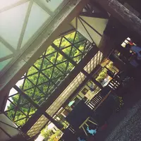 月うさぎの里の写真・動画_image_140446