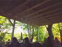 カフェ・ランチ 加佐の岬の写真・動画_image_140454