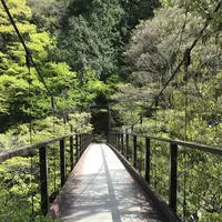 鳩ノ巣渓谷の写真・動画_image_140457