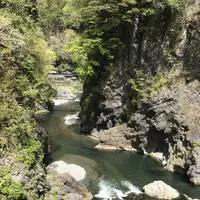 鳩ノ巣渓谷の写真・動画_image_140458
