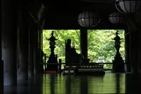 長谷寺の写真・動画_image_140480
