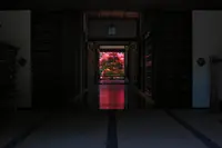 長谷寺の写真・動画_image_140481
