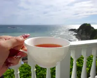 【閉業】葉山ホテル音羽ノ森 カフェテラスの写真・動画_image_140645