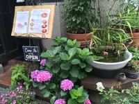 珈琲専門店 香咲（かさ）の写真・動画_image_140662
