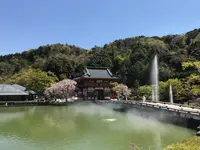 勝尾寺の写真・動画_image_140808