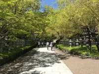 勝尾寺の写真・動画_image_140974