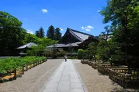 長谷寺の写真・動画_image_140987