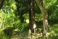 長谷寺の写真・動画_image_141000