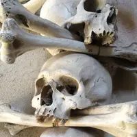 セドレツ納骨堂の写真・動画_image_141016