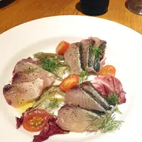 プテカの写真・動画_image_141043