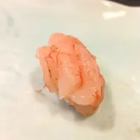 本種の写真・動画_image_141054