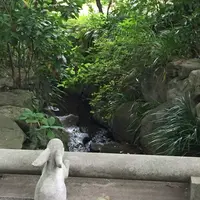 明月院（あじさい寺）の写真・動画_image_141137