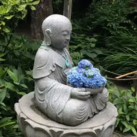明月院（あじさい寺）の写真・動画_image_141147