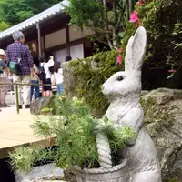 明月院（あじさい寺）の写真・動画_image_141148