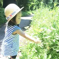 山吹水源の写真・動画_image_141171