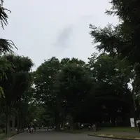 駒沢オリンピック公園の写真・動画_image_141346