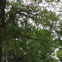 駒沢オリンピック公園の写真・動画_image_141347