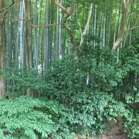 北山公園の写真・動画_image_141527