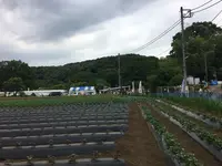 野口製麺所の写真・動画_image_141533