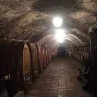 Zámek Mělníkの写真・動画_image_141539