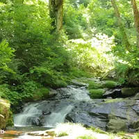 県立自然公園宇津江四十八滝の写真・動画_image_141621