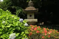 久安寺の写真・動画_image_141674