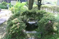 久安寺の写真・動画_image_141675