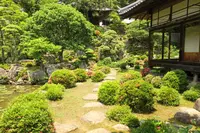 満願寺の写真・動画_image_141684