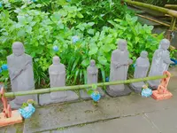 明月院（あじさい寺）の写真・動画_image_141823