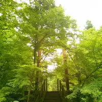 原不動滝の写真・動画_image_141898