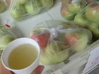 原観光りんご園の写真・動画_image_141924