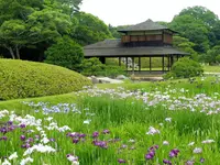 岡山後楽園の写真・動画_image_141969