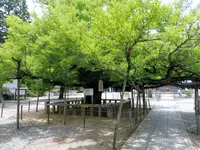 誕生寺の写真・動画_image_142039