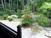 誕生寺の写真・動画_image_142041