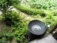 天柱山 頼久寺の写真・動画_image_142047