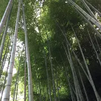 明月院（あじさい寺）の写真・動画_image_142157