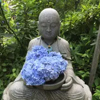 明月院（あじさい寺）の写真・動画_image_142159