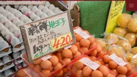 豊作市場の写真・動画_image_142365