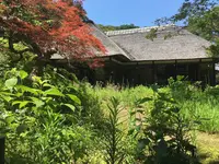 浄智寺の写真・動画_image_142455