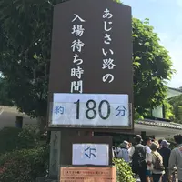 長谷寺の写真・動画_image_142457