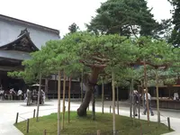 中尊寺の写真・動画_image_142508