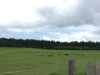 小岩井農場の写真・動画_image_142532