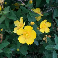 小岩井農場の写真・動画_image_142533