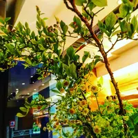 フラックスカフェの写真・動画_image_142615