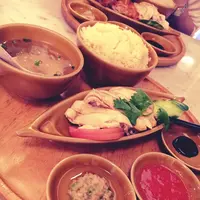 シンガポール海南鶏飯 水道橋本店の写真・動画_image_142628
